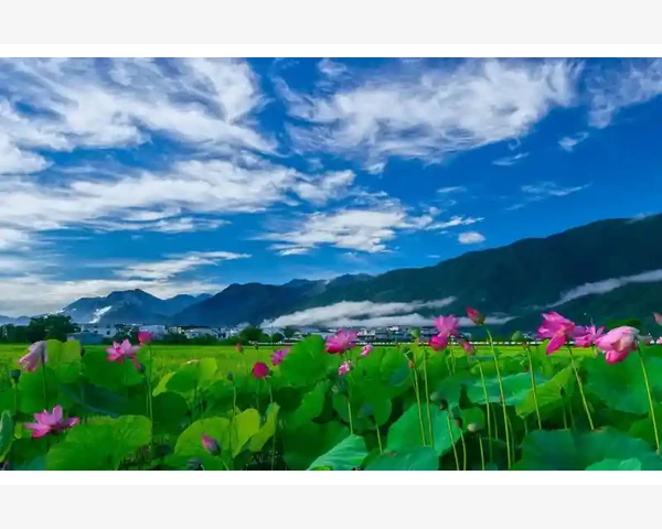 失眠是什么原因造成的，怎么解决？